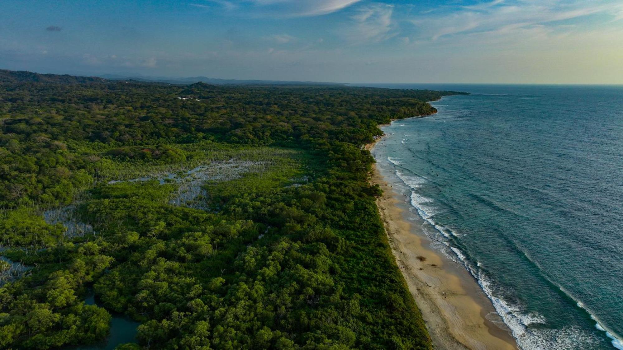 Beach Walk Costa Rica ปลายา อาเบญานา ภายนอก รูปภาพ